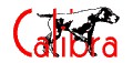 calibra_logo.jpg
